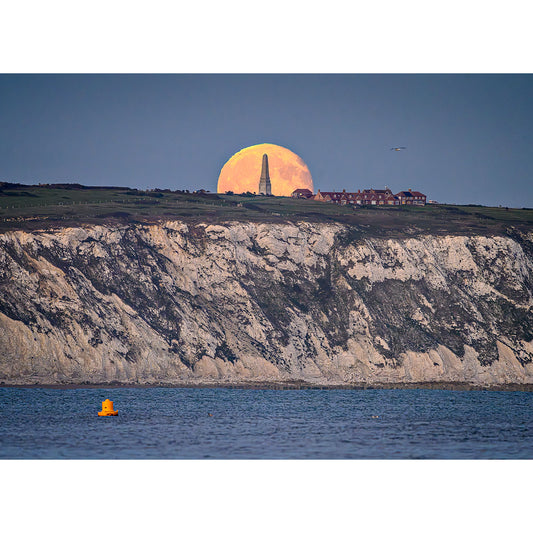 Moonrise over Culver Cliff