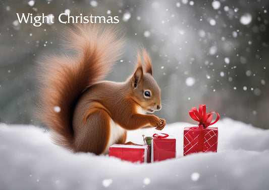 Red Squirrel Presents Christmas card