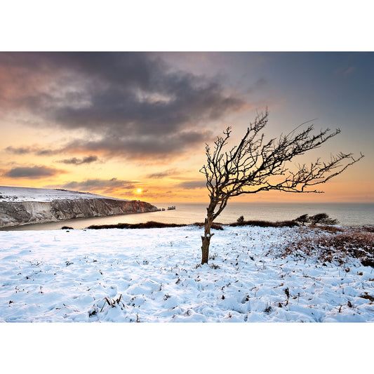 A solitary tree stands in a snow-covered landscape at dusk, with the sun setting over the tranquil sea surrounding The Needles by Available Light Photography on the Isle of Wight.