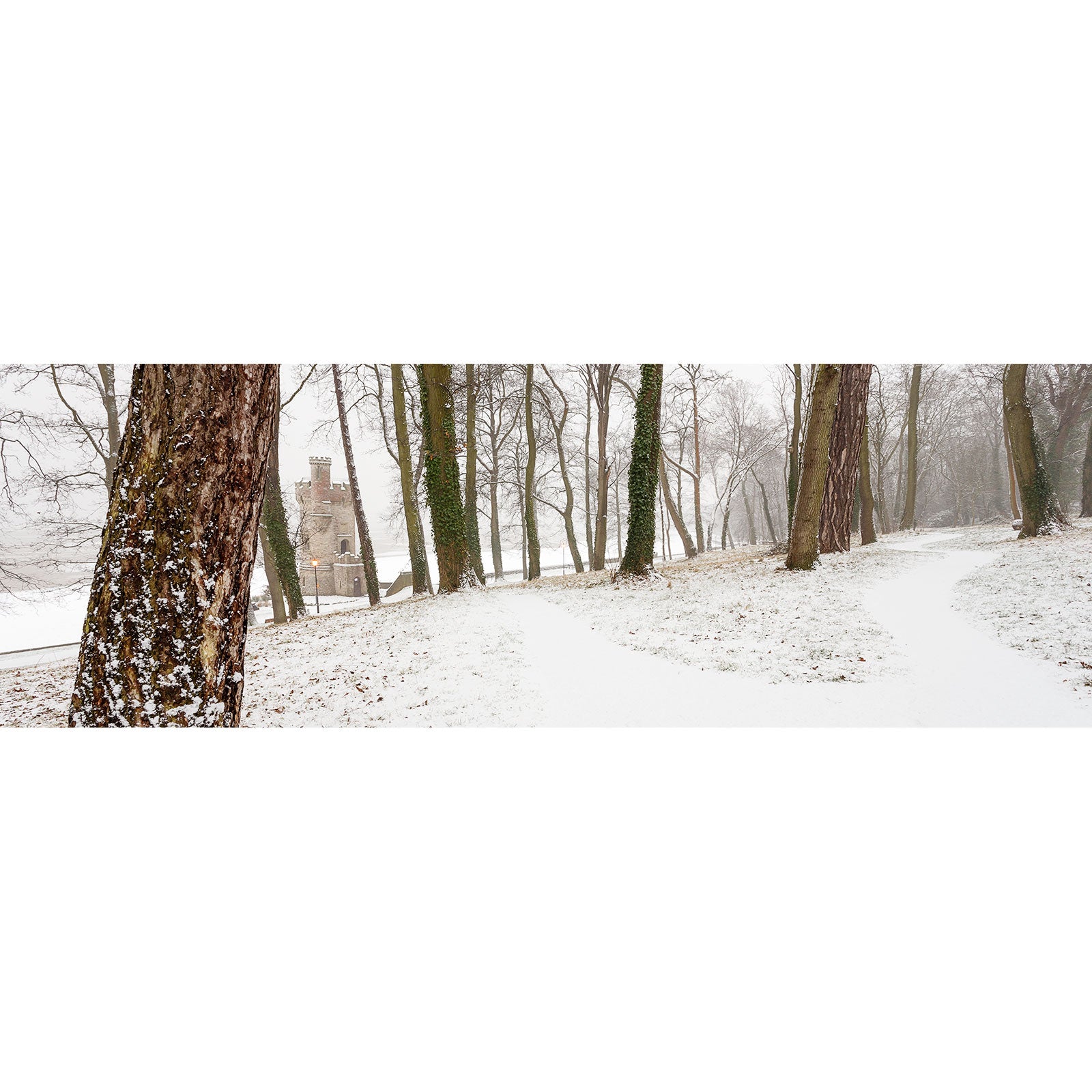 A tranquil winter scene on the Isle with a snow-covered path and sparsely snow-dusted trees, leading towards Appley Tower shrouded in mist. (by Available Light Photography)