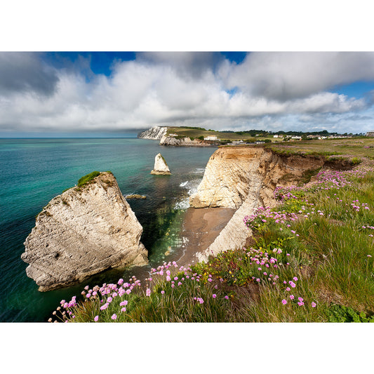 Freshwater Bay cliffs and wildflowers along a serene coastline on the Isle of Wight under a partly cloudy sky by Available Light Photography.