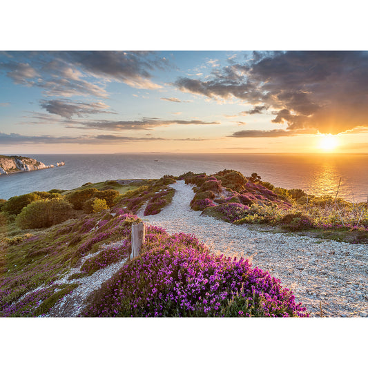 Sunset view over a coastal landscape on the Isle of Wight with blooming purple heather taken by Available Light Photography at Headon Warren.