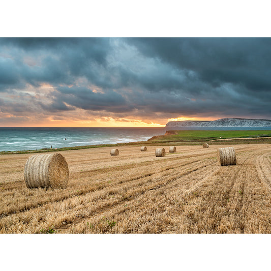 Bales of hay on a harvested field with a coastal landscape at sunset on the Isle of Gascoigne by Available Light Photography featuring Compton Bay.