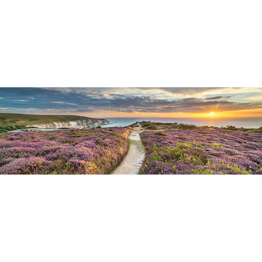 Headon Warren - Available Light Photography