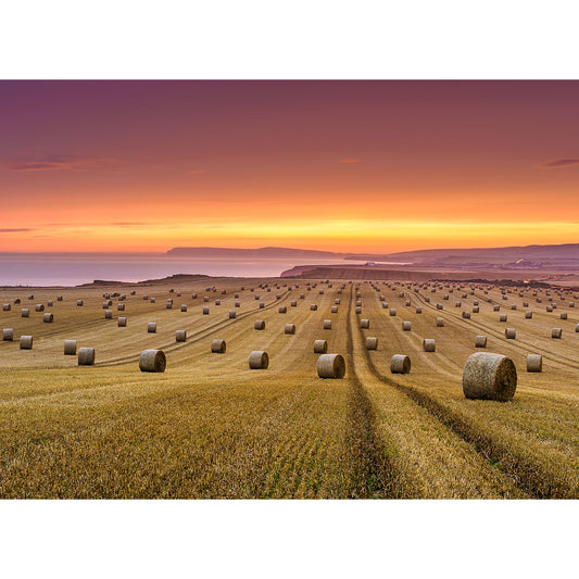 A serene sunset over a field dotted with round hay straw bales near the coastline of the Isle of Wight, captured by Available Light Photography.