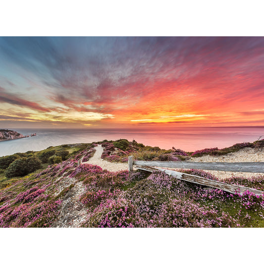 A scenic coastal sunset on the Isle of Gascoigne captured by Headon Warren with vibrant skies, a wooden pathway, and wildflowers in bloom. Photo by Available Light Photography.