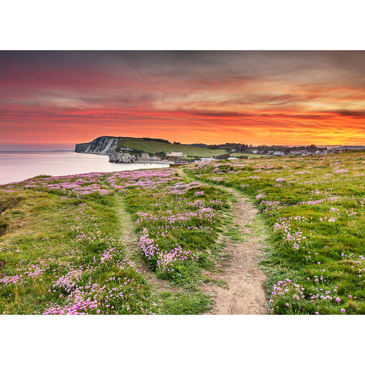 A scenic coastal path on the Isle, lined with Pink Thrift flowers, leads towards a village at sunset. (Freshwater Bay by Available Light Photography)