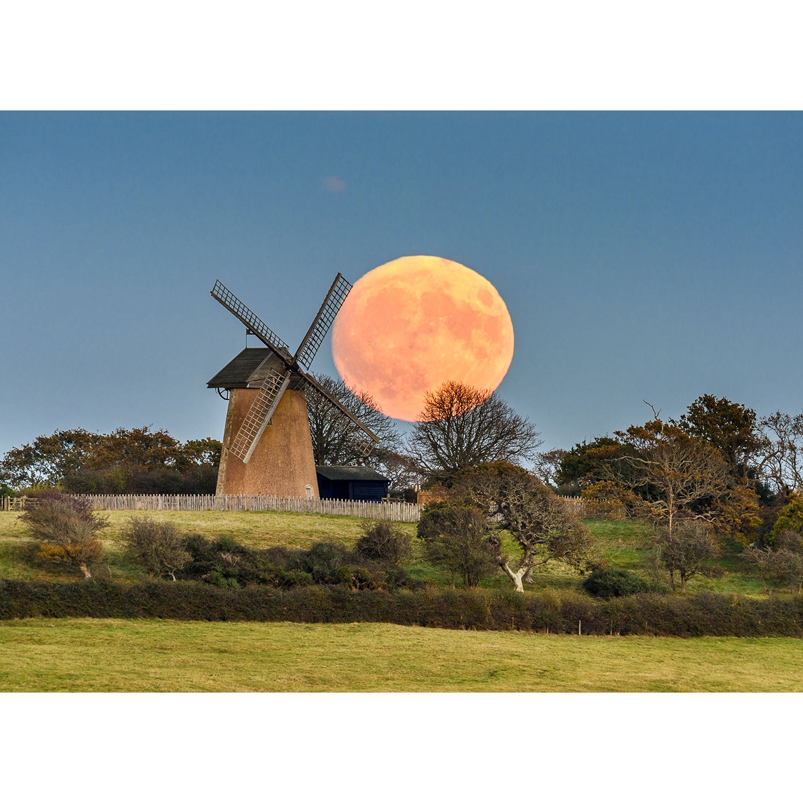 A Supermoon over Bembridge Windmill rising behind a traditional windmill in a pastoral setting on the Isle of Wight, captured by Available Light Photography.
