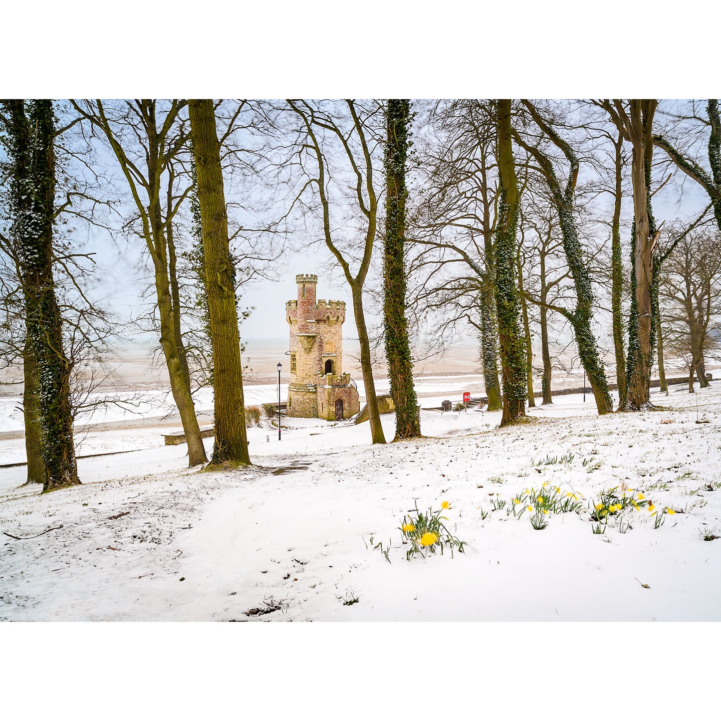 A historical Appley Tower amid a snowy landscape with daffodils in the foreground and a line of bare trees on the Isle, captured by Available Light Photography.