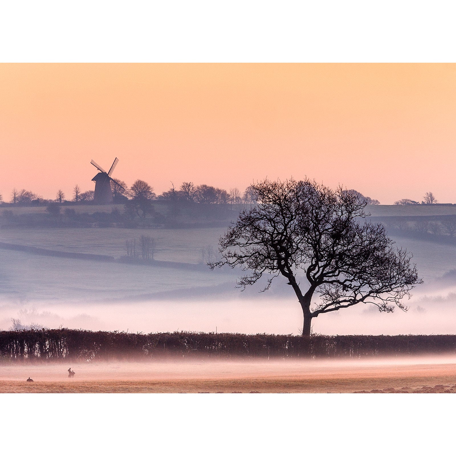 Misty sunrise with a silhouette of a lone tree and the Bembridge Windmill in the countryside by Available Light Photography.