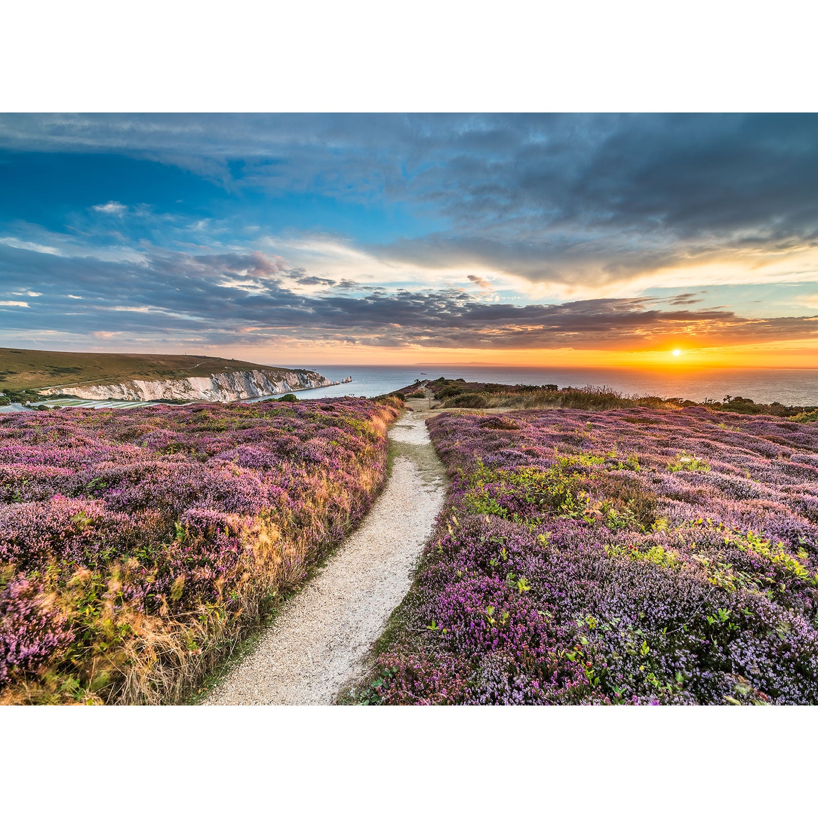 A scenic coastal pathway through blooming heather at sunset on the Headon Warren by Available Light Photography on the Isle of Wight.