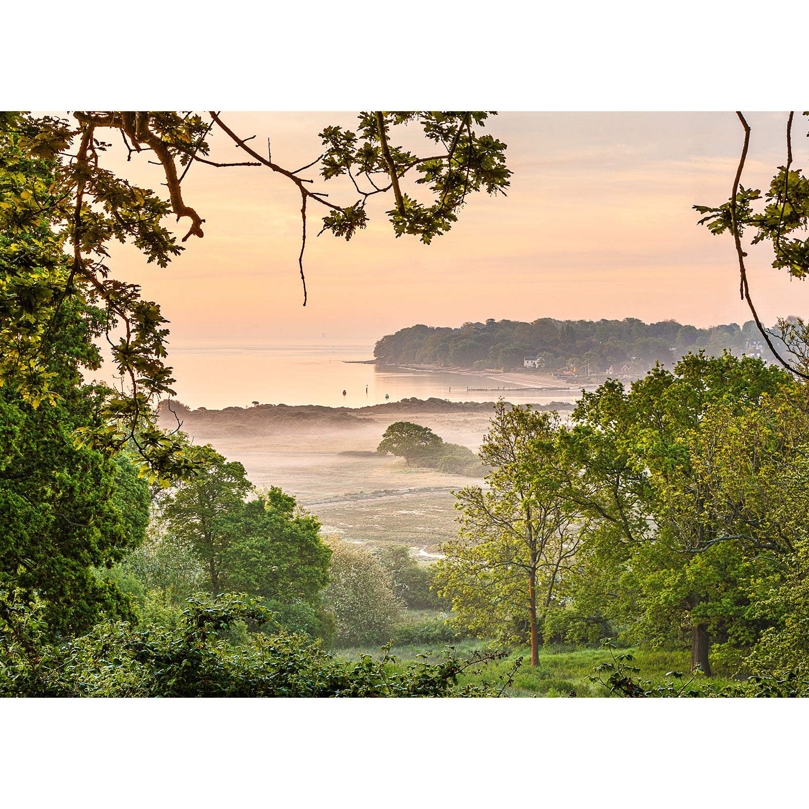 A tranquil sunrise over a coastal landscape on the Isle, with trees framing the view, captured beautifully by The Duver from Available Light Photography.