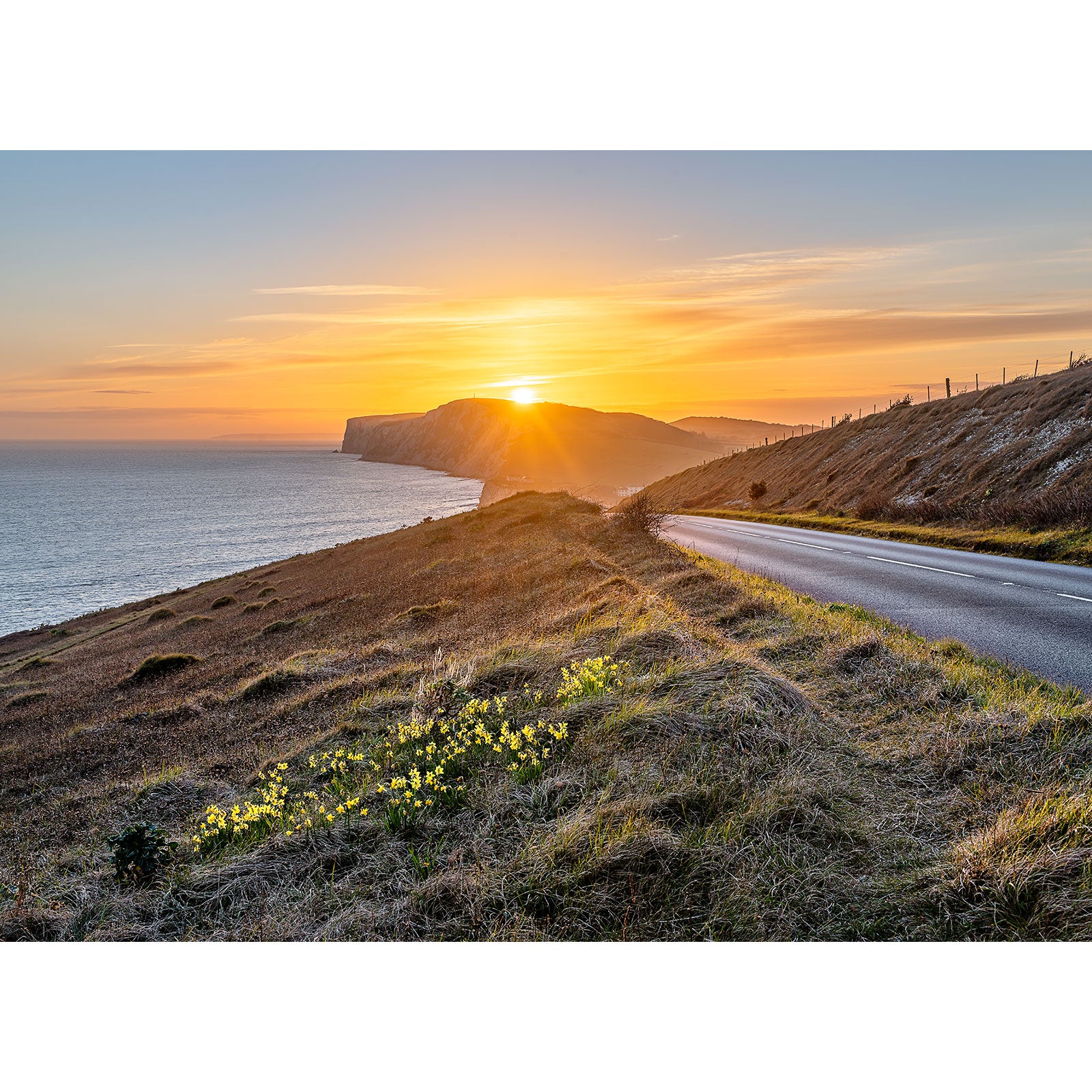 Sunset over a coastal road on the Isle of Wight with ocean views and flowering plants in the foreground, captured by Springtime at Freshwater photography by Available Light Photography.