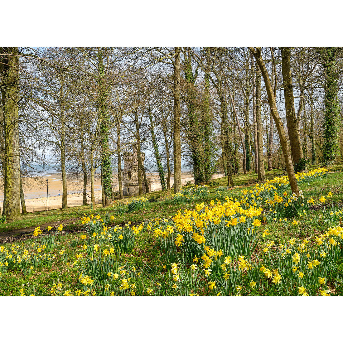 Springtime at Appley – Available Light Photography