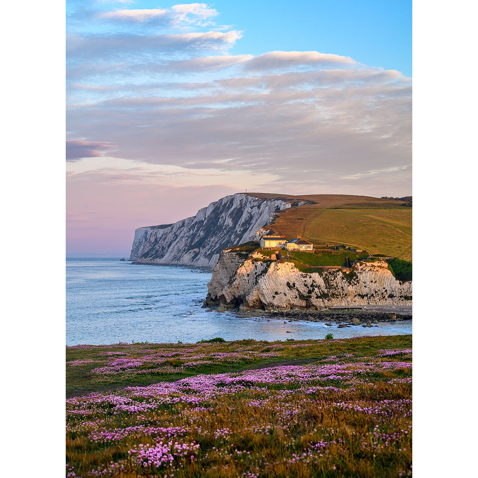 Coastal cliffs at sunset on Freshwater Bay on the Isle of Wight with a field of flowers in the foreground, captured by Available Light Photography.