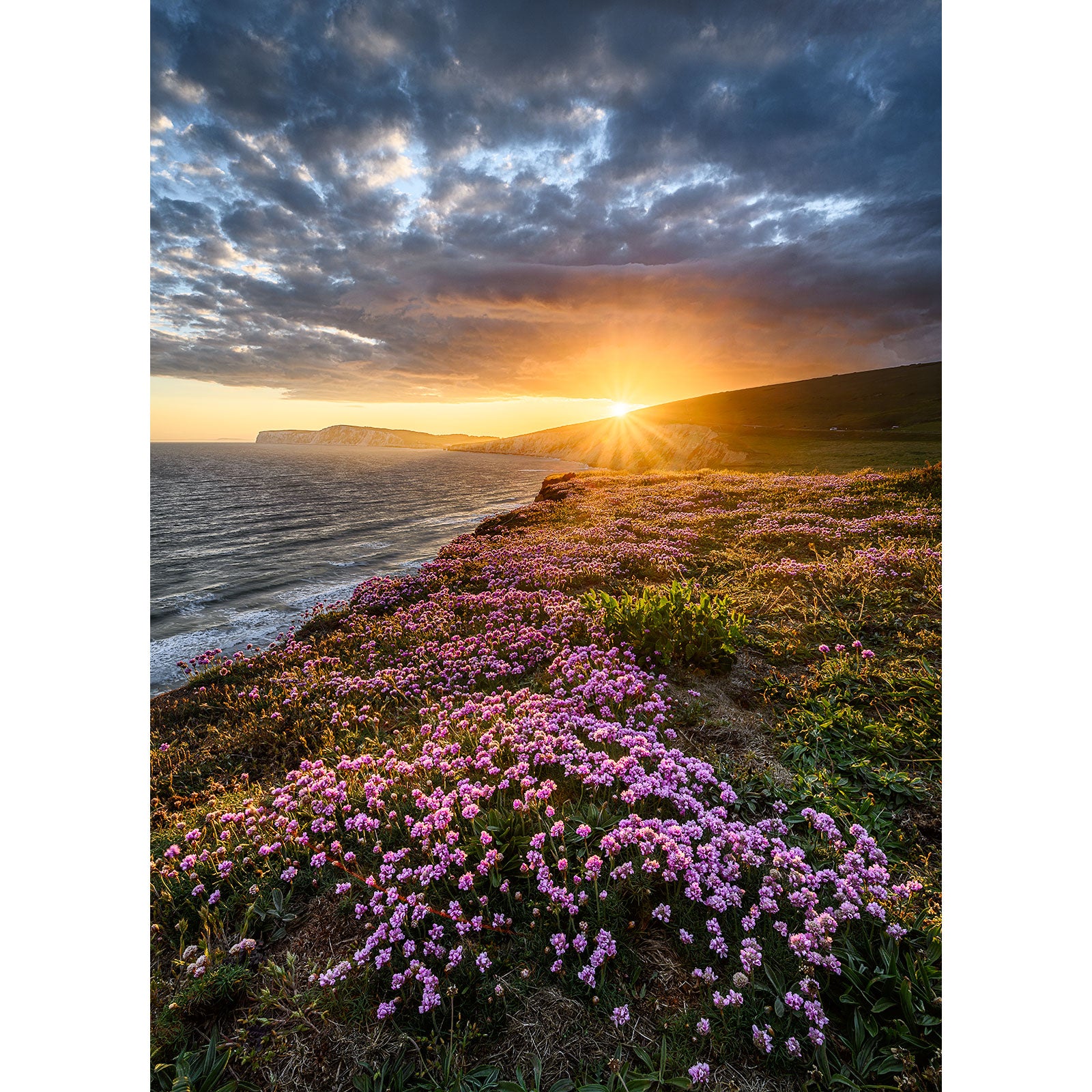 Sunset over a coastal landscape on the Isle of Wight with Pink Thrift flowering shrubs in the foreground by Available Light Photography.