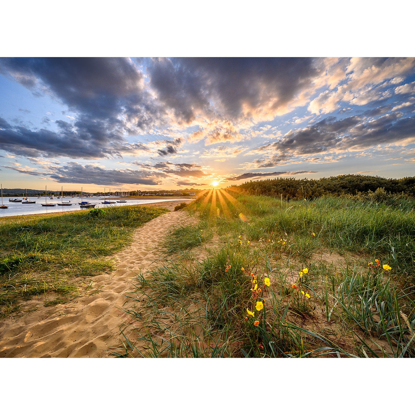 Sunset over a coastal landscape with a sandy path leading towards the water and boats, with wildflowers in the foreground on Bembridge Harbour by Available Light Photography.