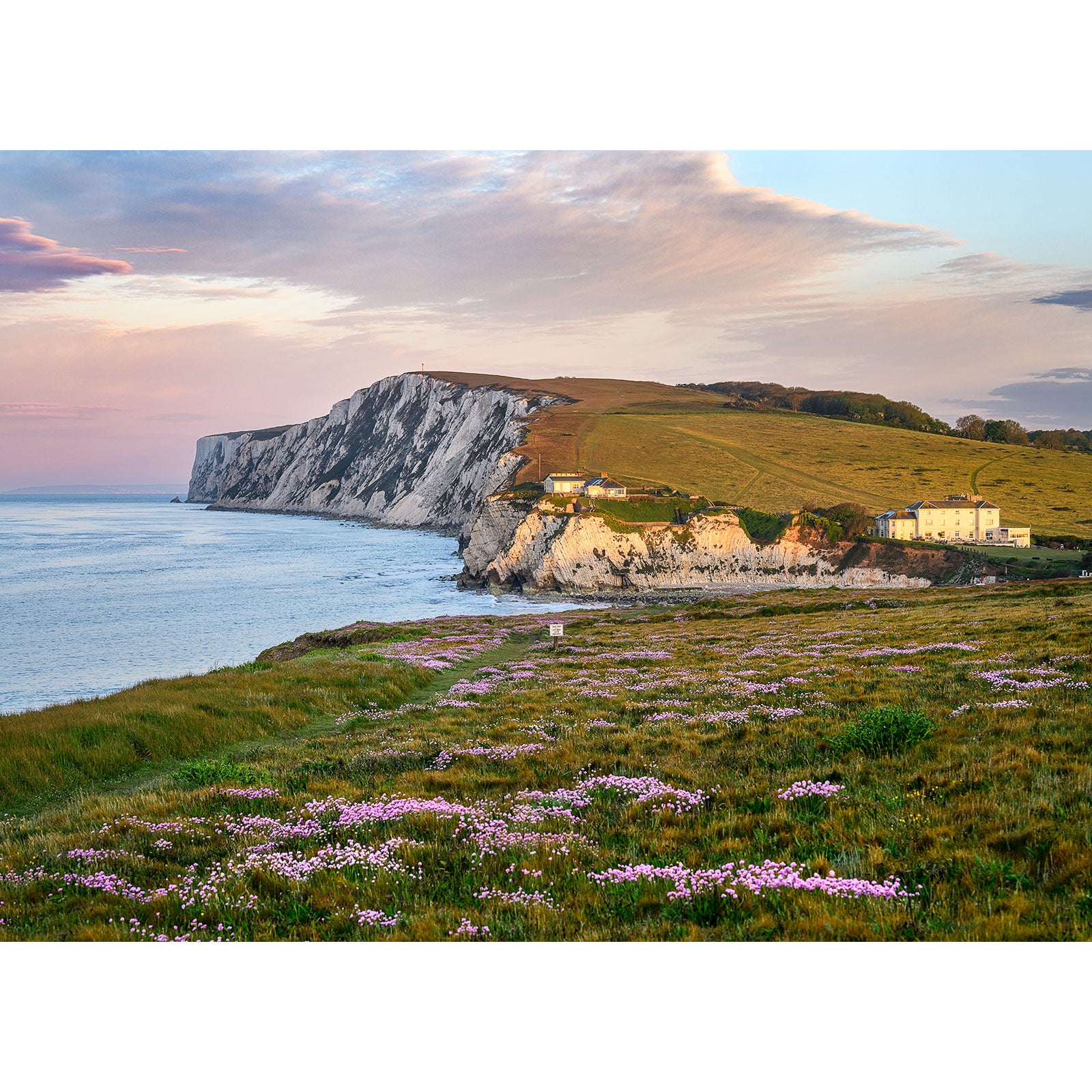 A scenic view of Pink Thrift by Freshwater Bay with a flowering meadow in the foreground and buildings near the coastline at dusk on the Isle of Wight, captured by Available Light Photography.