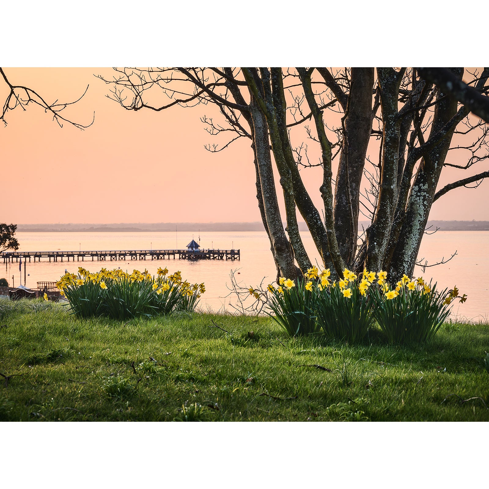 Sunset view over a lake with daffodils in the foreground and a pier in the distance on Yarmouth by Available Light Photography.
